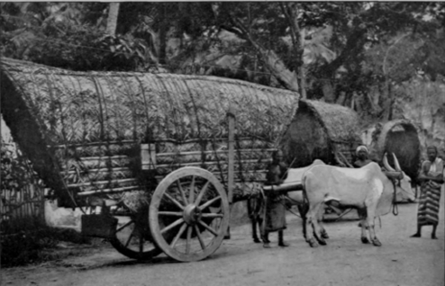 Covered bullock cart
